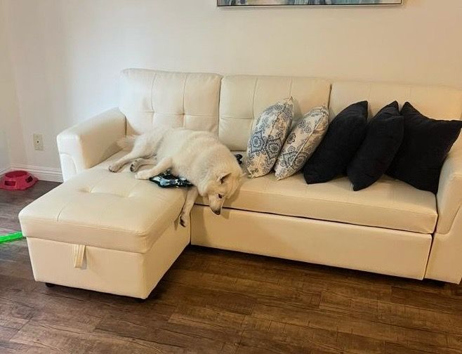 White Pull Out Couch