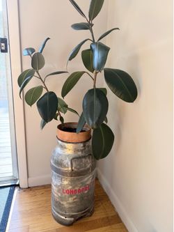 Longacre milk can