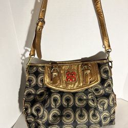 Large Handbag Used 