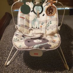 Fisher Price Bounce Seat