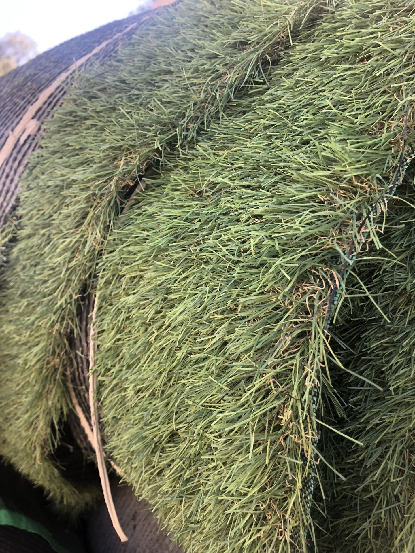 Artificial Grass Cheaper Than Home Depot for Sale in Chandler, AZ OfferUp