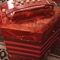 Concertina Style Accordion
