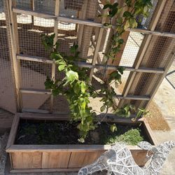 Plants And Pots, Patio Furniture