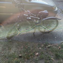 Araimo Monster 100 Electric Bike 