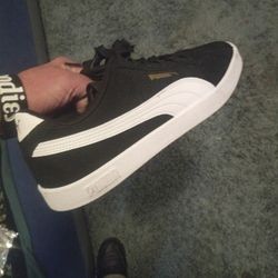 new pumas