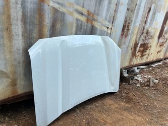 2019-2025 Chevy Silverado Hood OEM