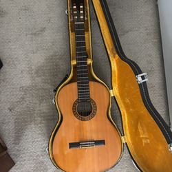Fernandez Guitar
