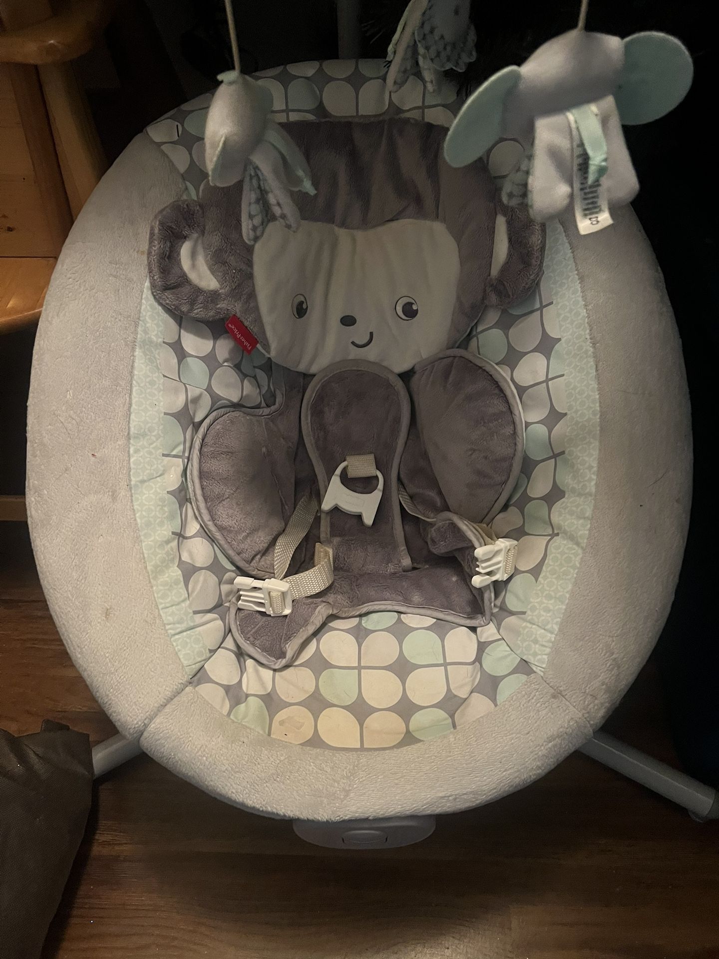 Fisher Price Swing