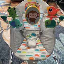 Baby Bouncer