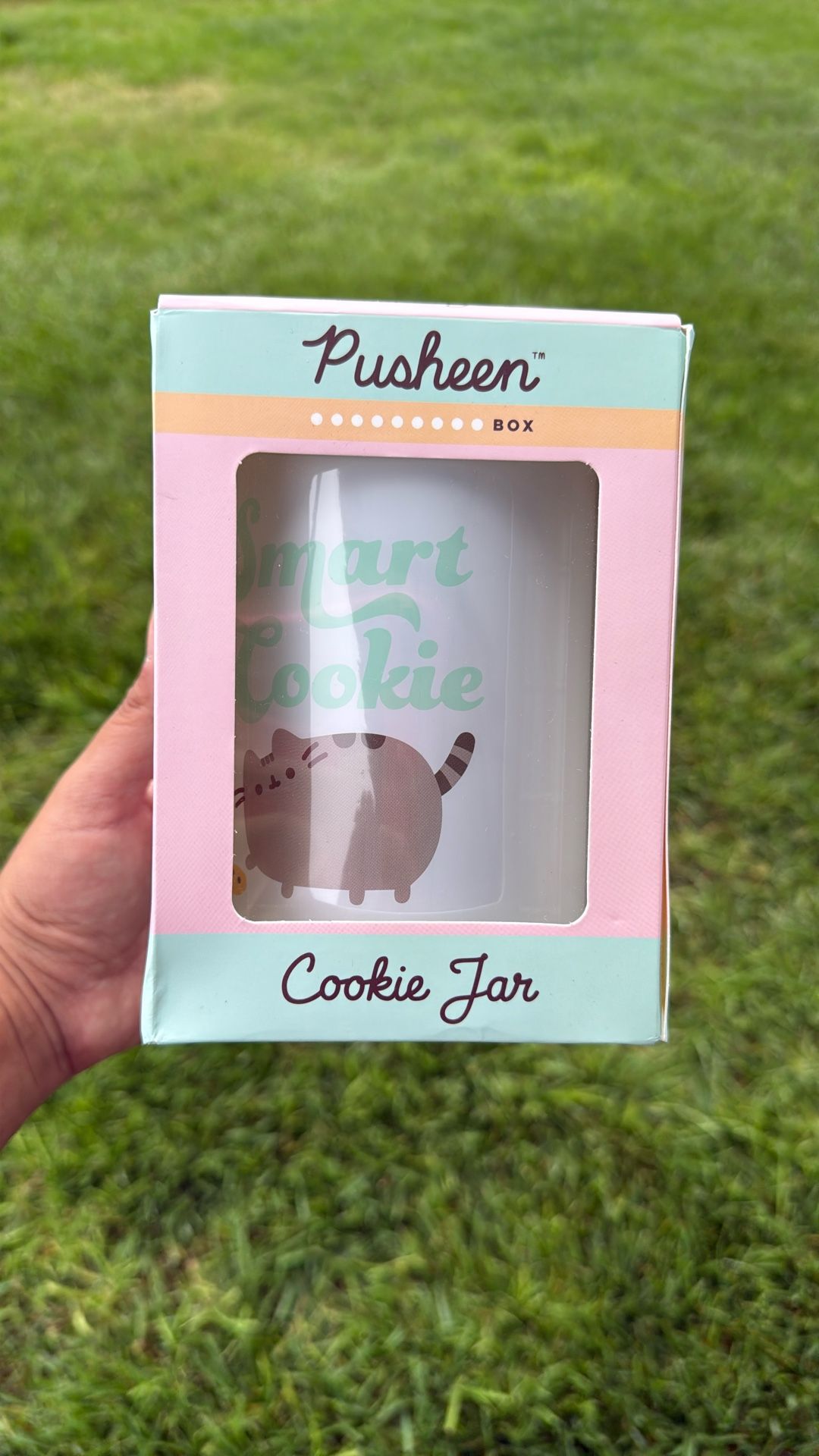 Pusheen Cookie Jar