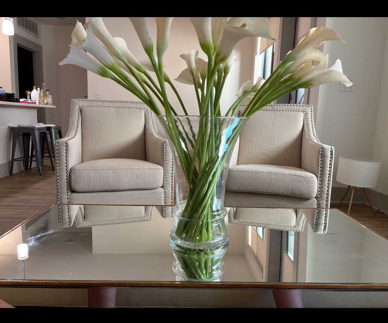 Modern Chairs