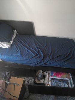 Free couch and trundle, 55" TV