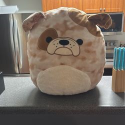 Bronk Squishmallow 