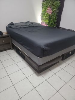 Platform Bed