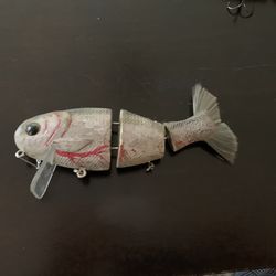 Bullshad 4x4 Wake