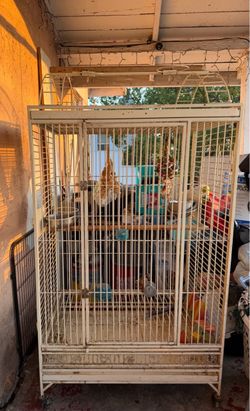 Bird cage