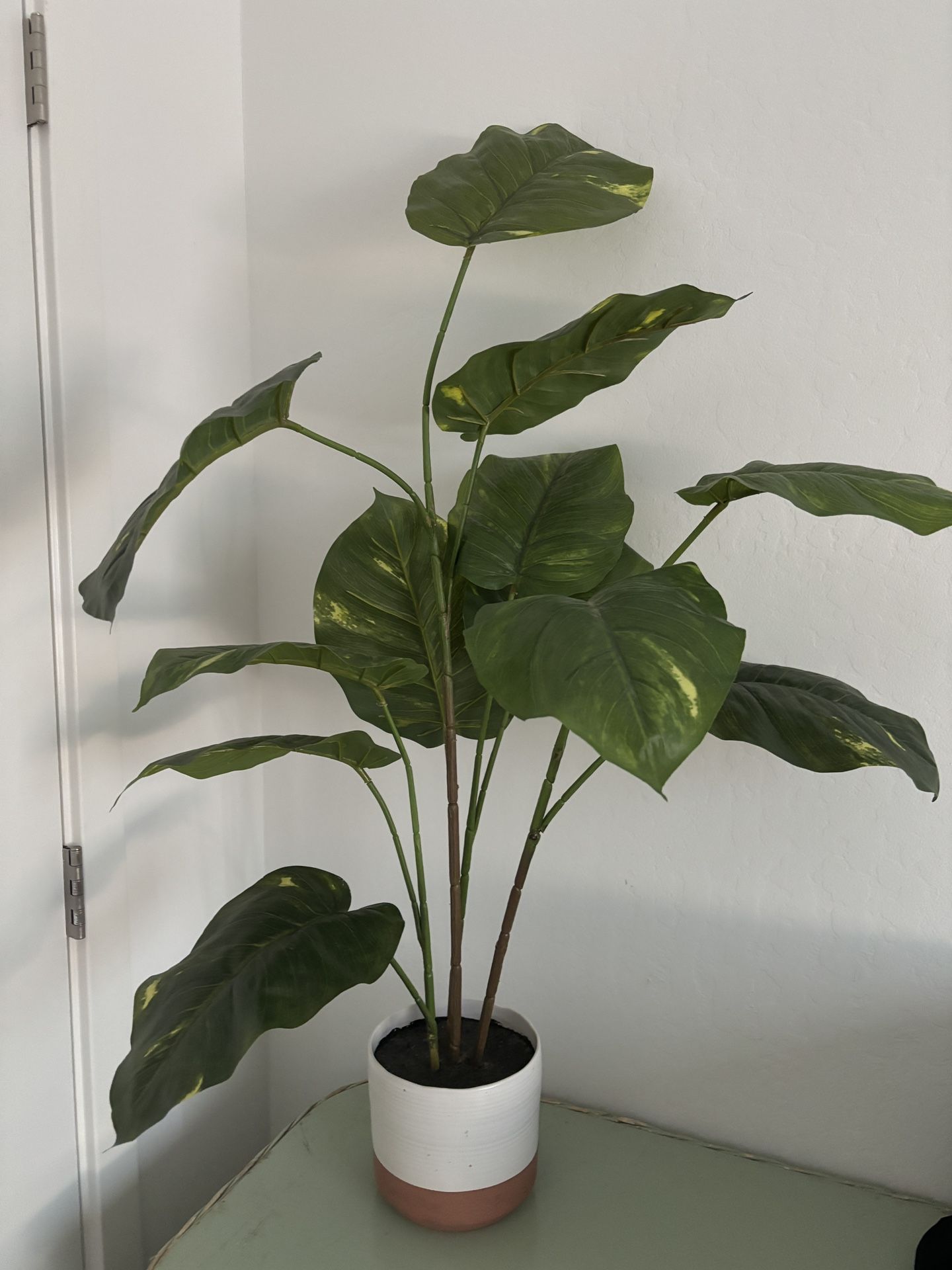 fake plant