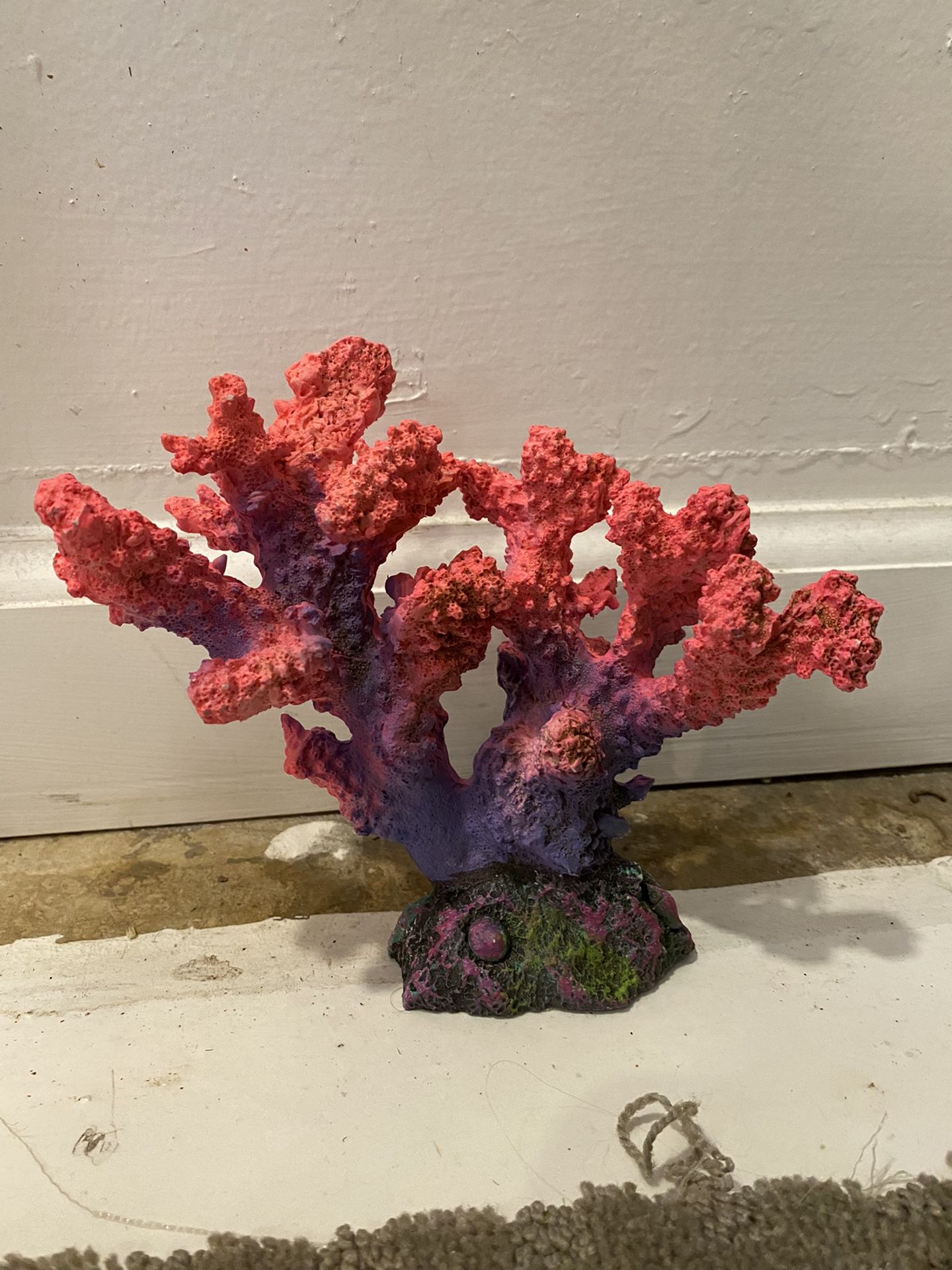 Used Top Fin Hexagon Aquarium 20 Gallon