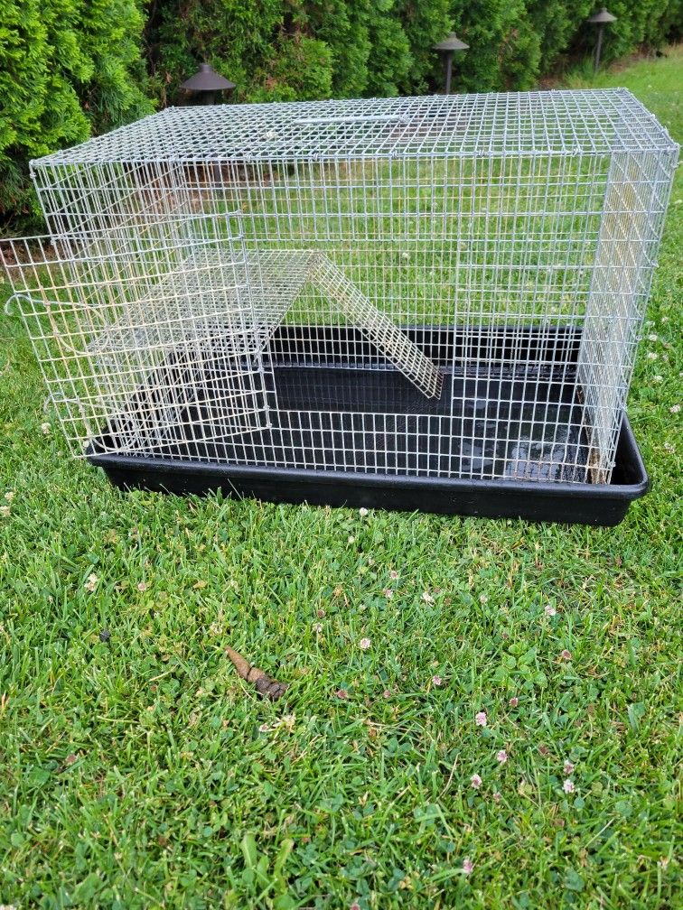 Cage With Ramp For Small Animal