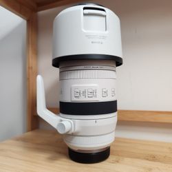 Canon RF 100-500mm f/4.5-7.1 L IS USM Lens