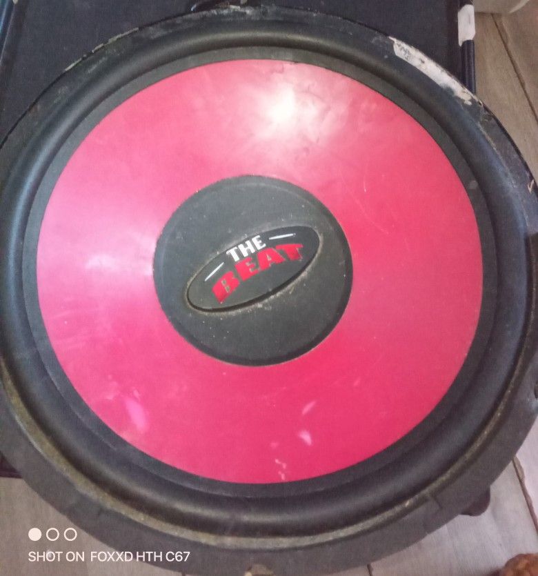 12" Subwoofer The Beat