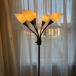 Floor Lamp 