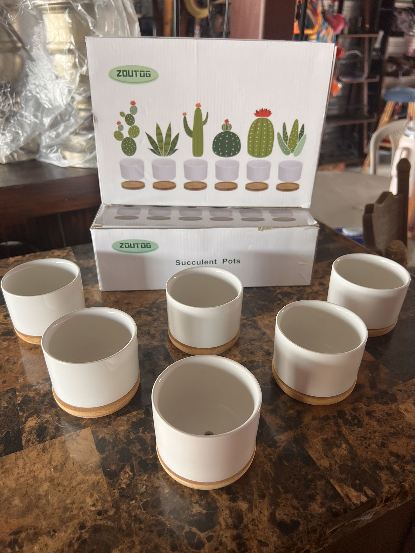 New Succulent Pots