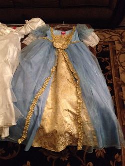 Blue and gold Cinderella dress costume
