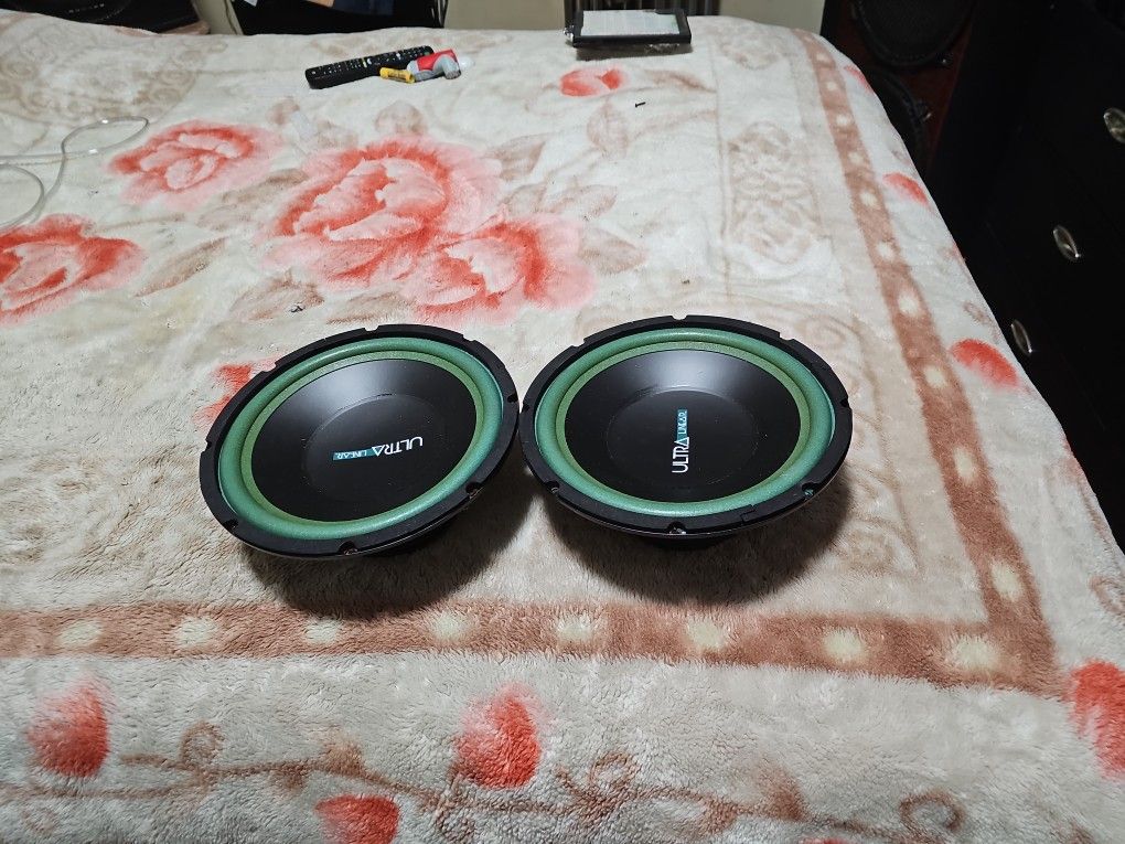 Two Twin 10 Inch Speakers