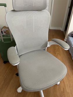 Ergonomic Office Chair with Wheels