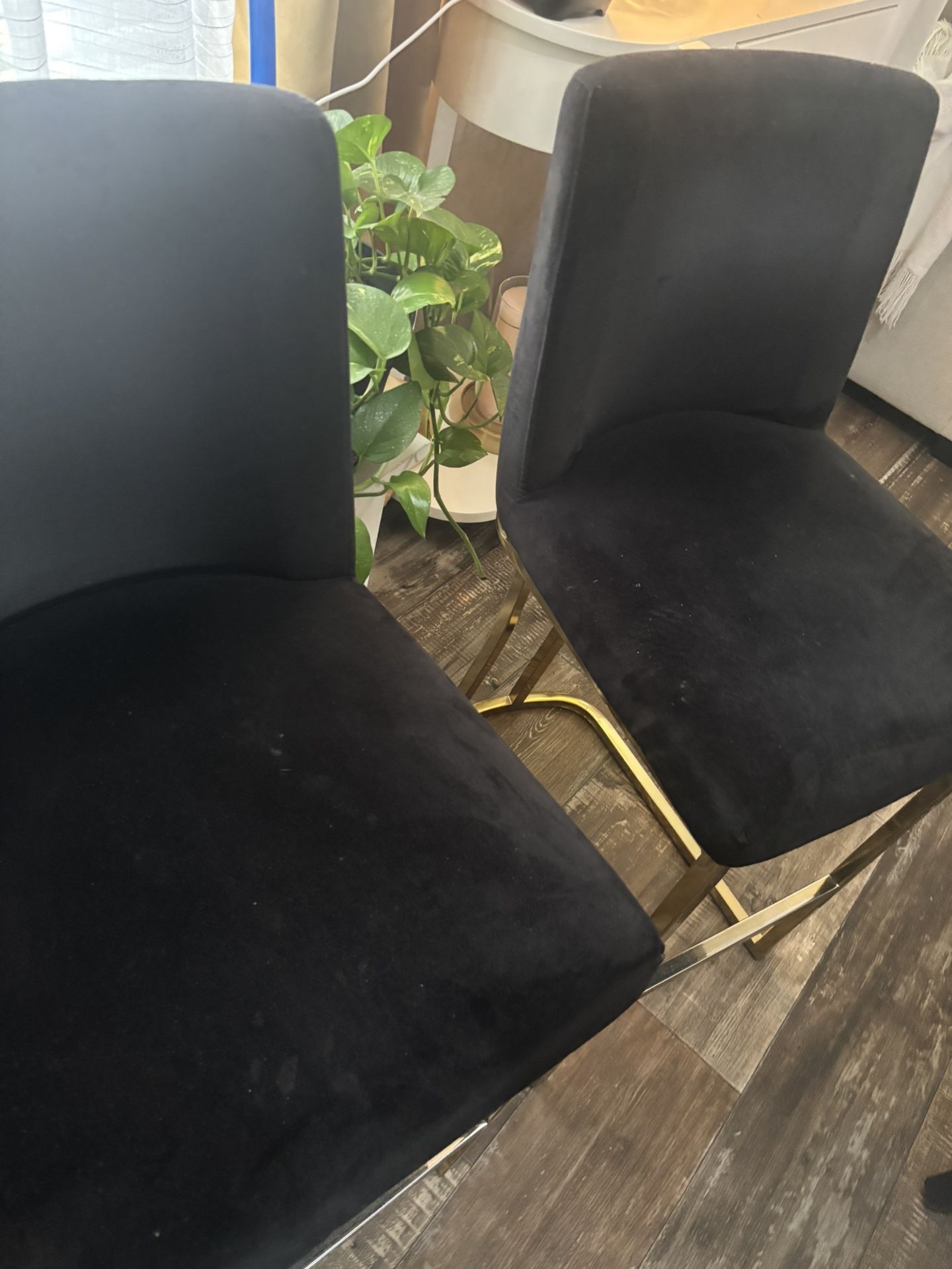 Set 2 Chairs Brand New Is Beautiful