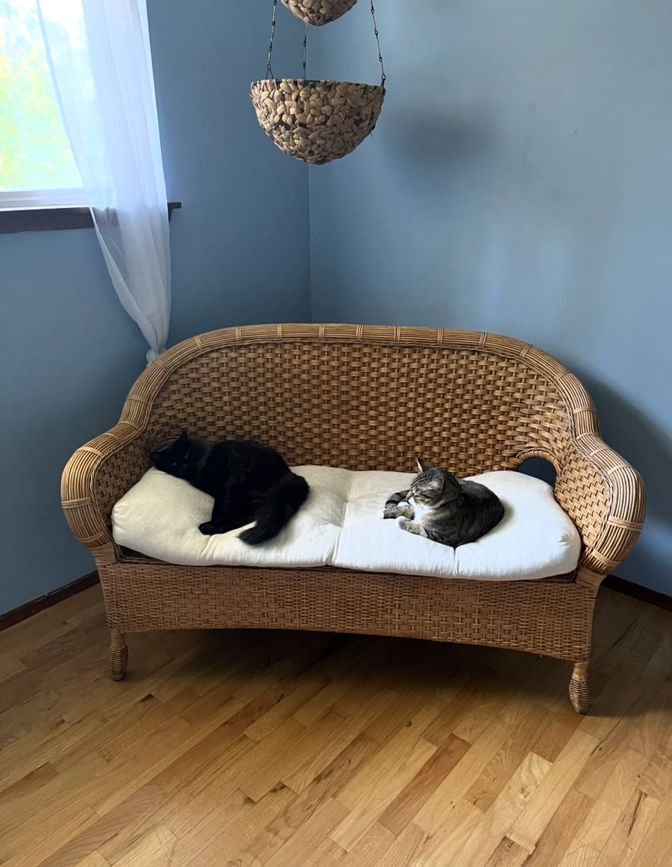 Cute Rattan Wicker Loveseat