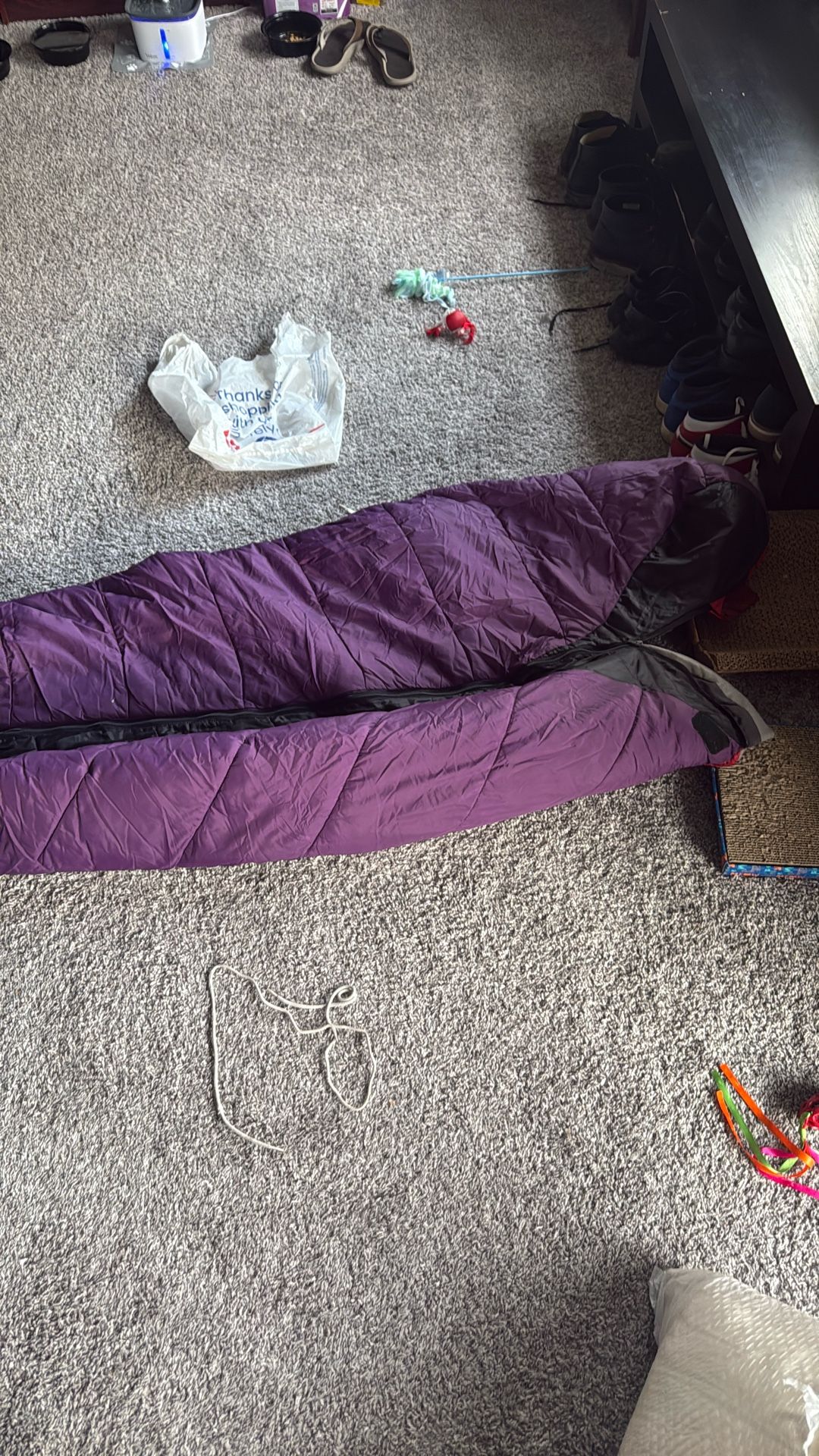 Sleeping Bag