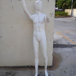 Male Manequinn 