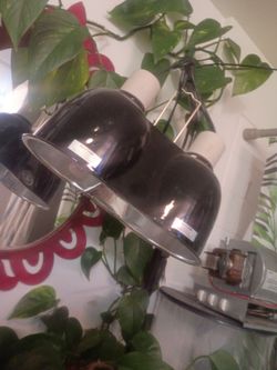 Reptile heat lamp & stand  zoo med