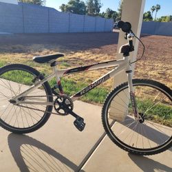 Redline Junior Flight Race Bike