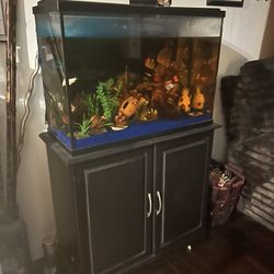 Fish Tank