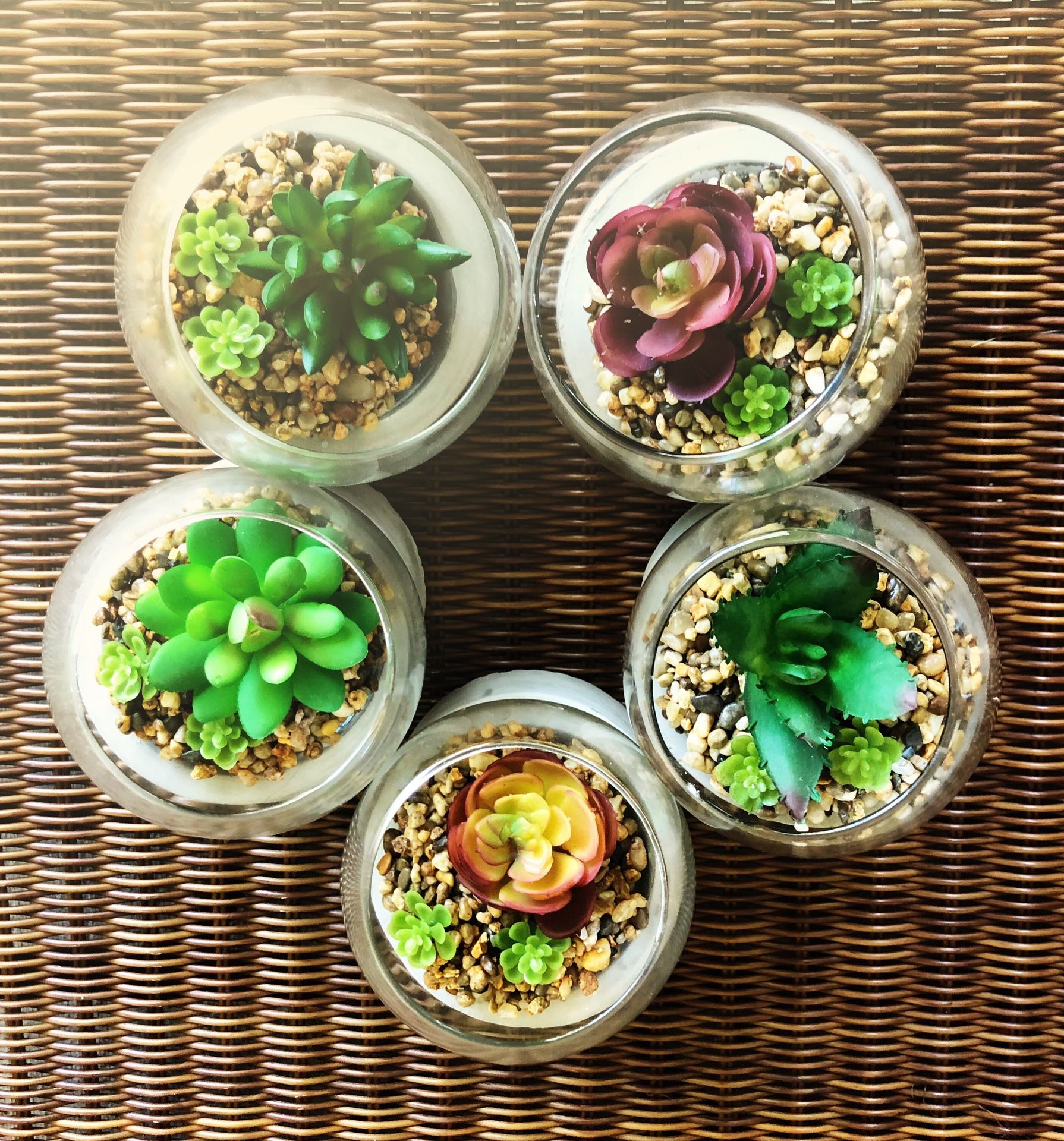 Lot of 5 Faux Succulent Terrariums