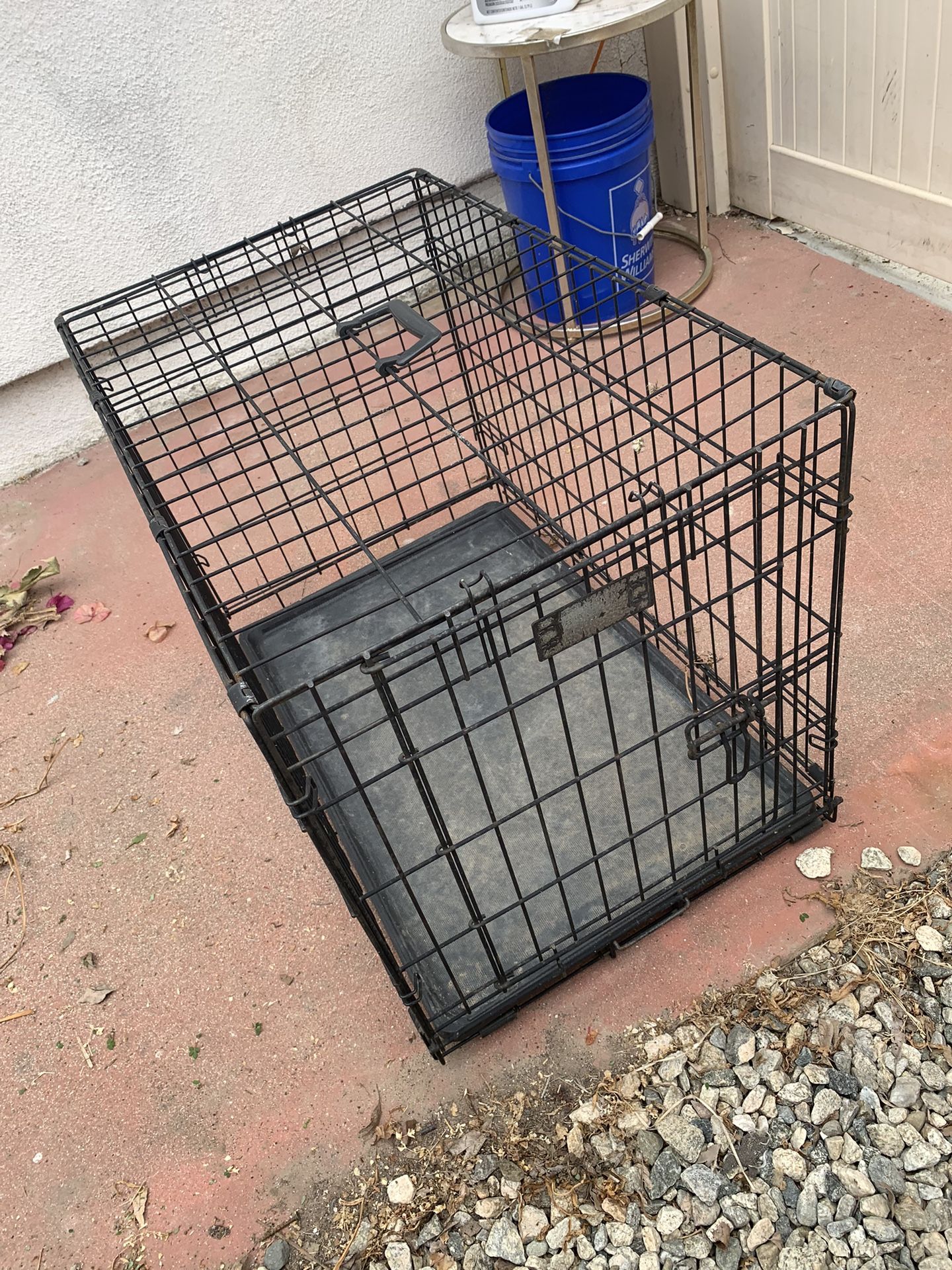 FREE Dog Carrier