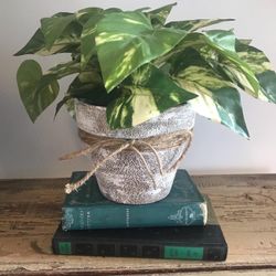  Faux Pothos in hand painted White in Clay Pot