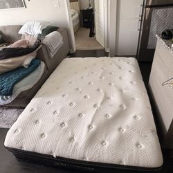 Queen Size Mattress 
