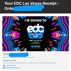 EDC Vegas 1 - VIP Ticket
