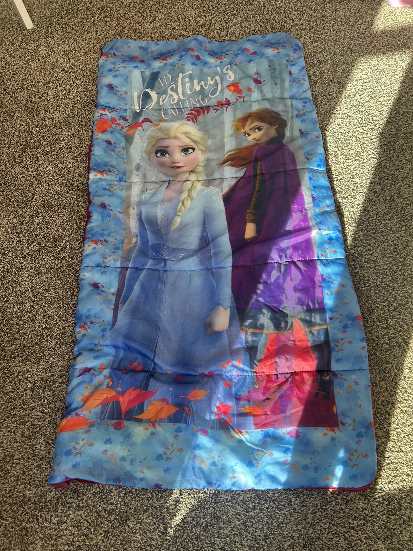 Frozen Sleeping Bag
