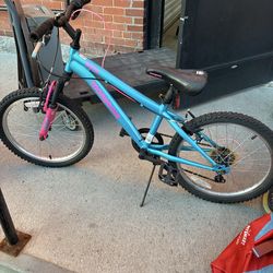 20 inch bike