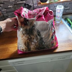 Kirkland Small Breed Salmon And Lentil Formula Dog Food