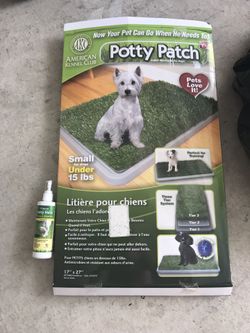 Potty patch