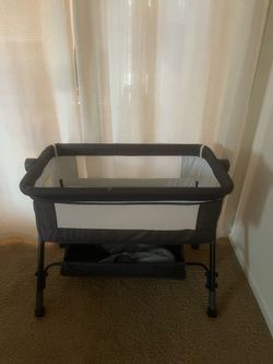 Bedside bassinet with outdoor net