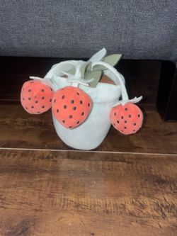 Strawberry Plant Toy