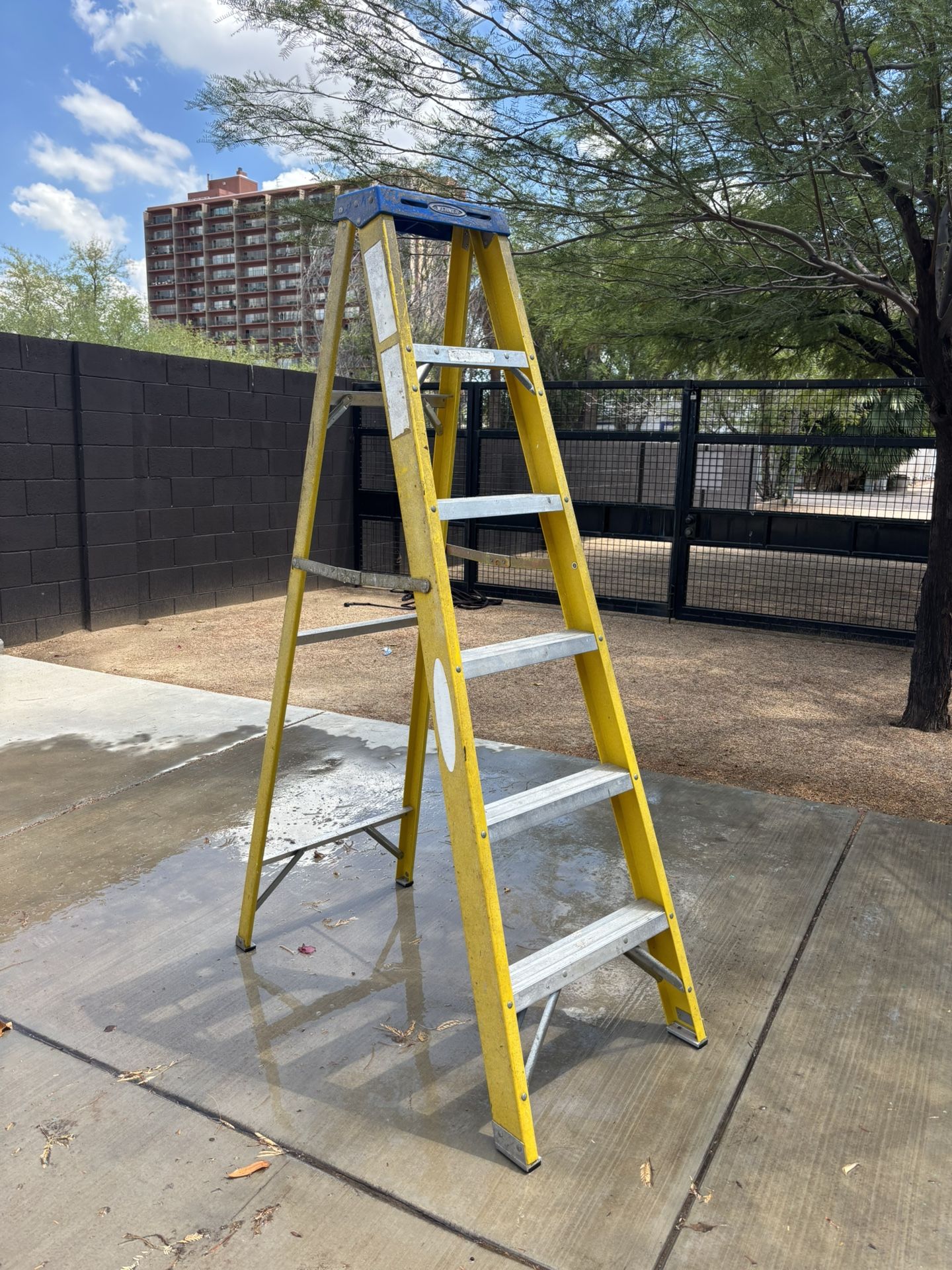 Ladder Fiberglass 6’ Werner