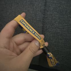 2 Skyline festival ticket for today